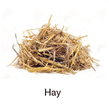Hay - Flammability (D)