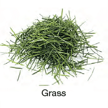 Grass - Very Light and Fluffy (Q)