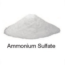 Ammonium Sulfate - Builds Up and Hardens (A)
