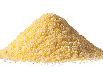 Processing Corn Meal with a KWS Screw Conveyor