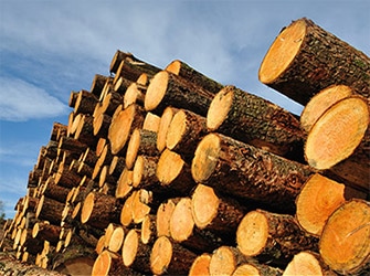 Lumber & Wood Industry - KWS Manufacturing