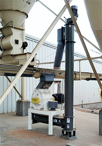 Horizontal Screw Feeder and Vertical Screw Conveyor: Tifton Peanut