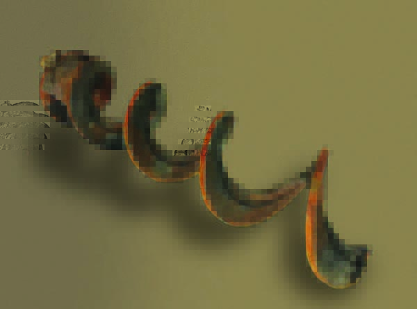 Replace Shaftless Spiral - Before - KWS Environmental Aftermarket Solutions