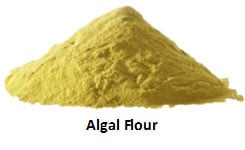 Thermal Processor Material - Algal Flour