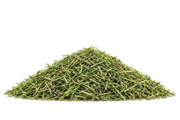 Alfalfa - KWS Manufacturing Company, LLC