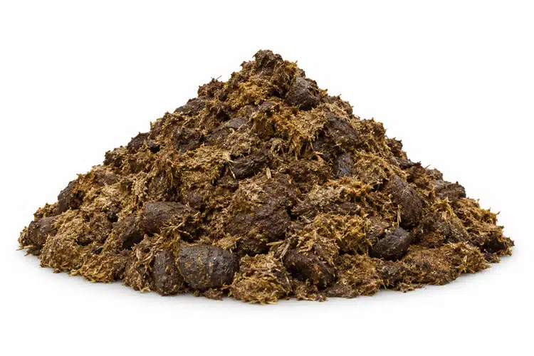 Animal Waste - KWS Manufacturing Company, LLC