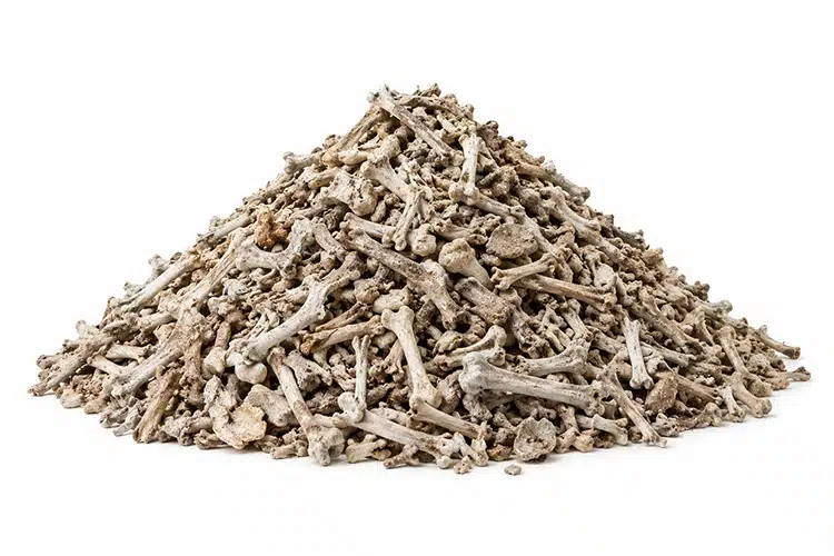 Bones - KWS Manufacturing Company, LLC