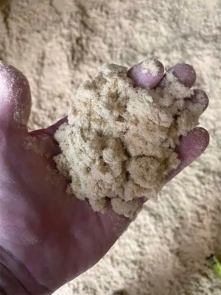 Wood Dust is Generated from Fiberboard Manufacturing Process