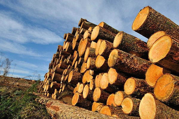 Lumber and Wood - KWS Manufacturing