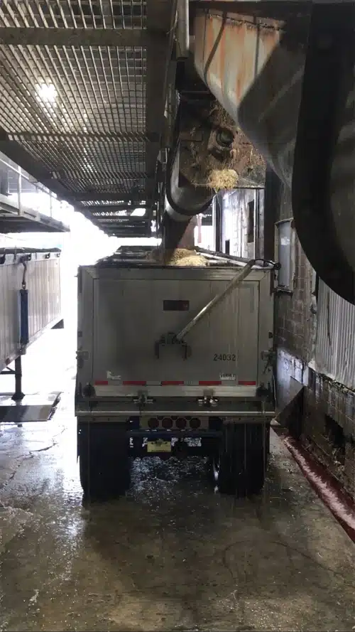 Feathers are Loaded Out to Trucks