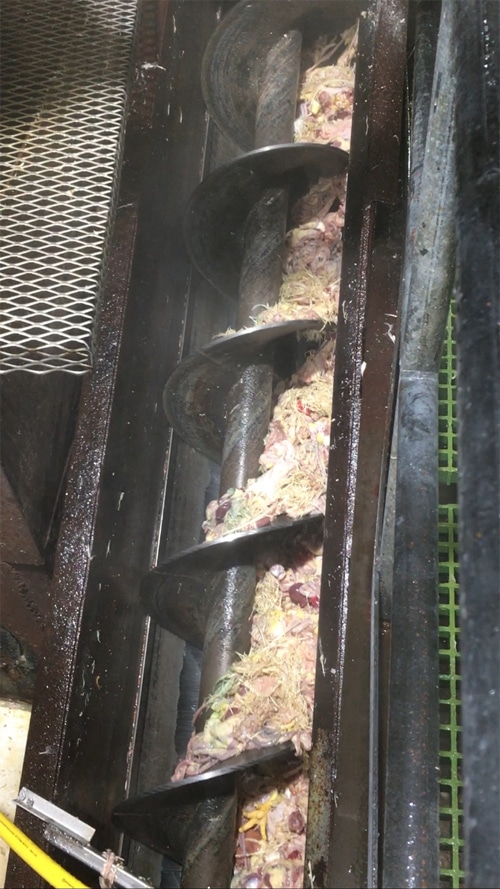 Damp Environment Caused Rust and Corrosion